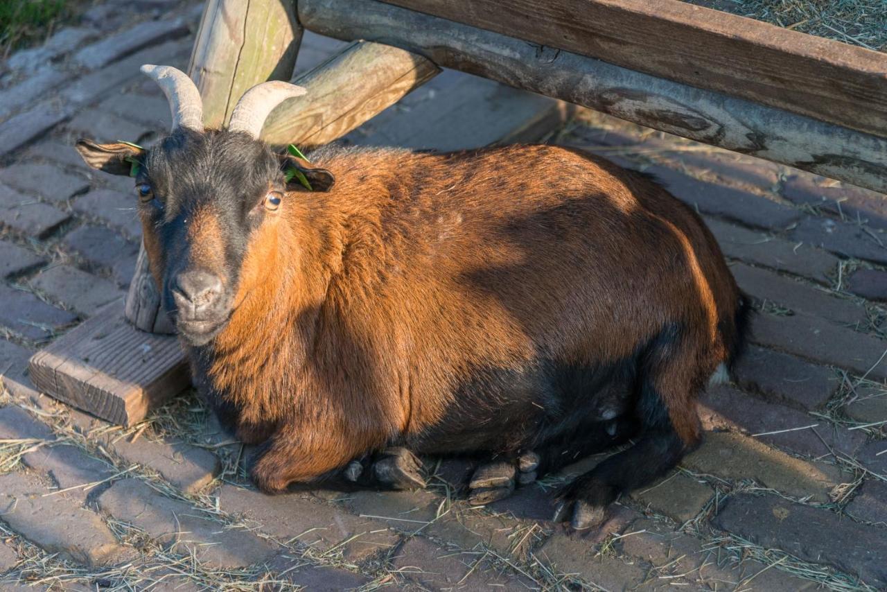 Bed En Breakfast Puur8A Duizel Kültér fotó
